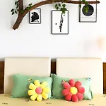 Zen Room Hqv